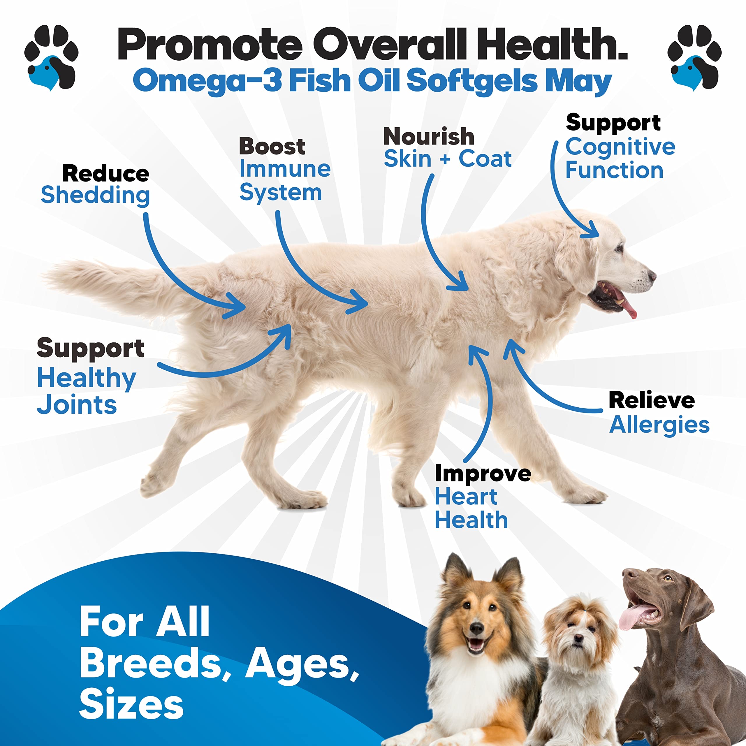 Omega 3 Fish Oil for Dogs Capsules - Salmon Oil for Dogs - Dog Fish Oil Supplement May Help Shedding, Allergy, Itching - Support